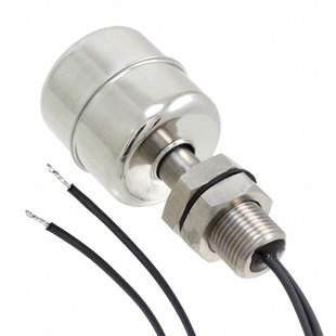 SSF22X100-M12X1 Image