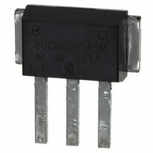 83CNQ080ASM Image