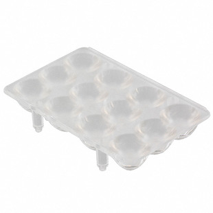 C12528_PETUNIA Image